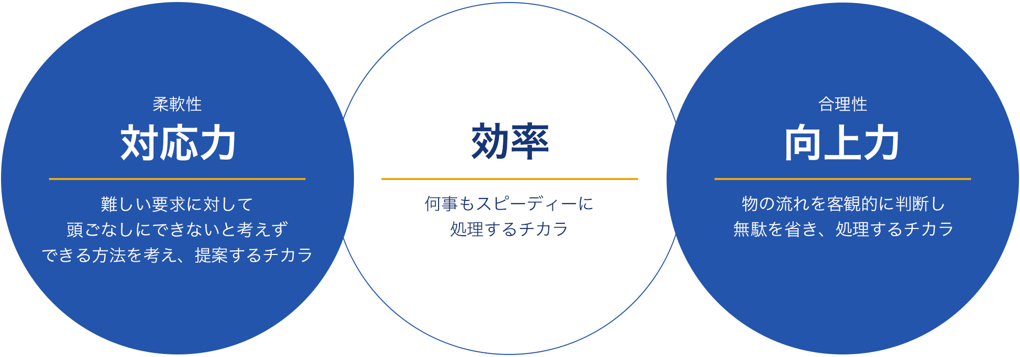 対応力、効率、向上力、三つのチカラ