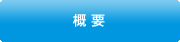 概要